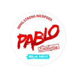 Buy Bulk Pablo Snus Nicotine Pouches - Pack of 10 - Vape Wholesale Mcr