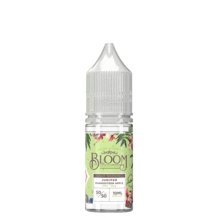 Buy Bulk Bloom 10ml Nic Salt (Pack of 10) - Vape Wholesale Mcr