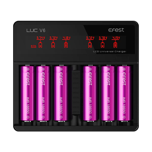 Efest -LUC V6 LCD Universal Charger