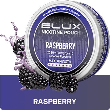 Buy Bulk Elux Nicotine Pouches - Pack of 10 - Vape Wholesale Mcr