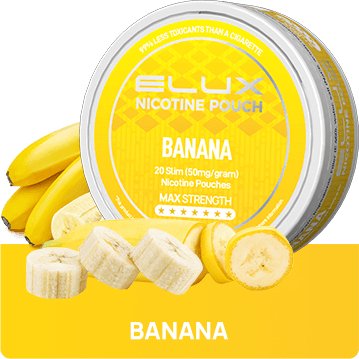 Buy Bulk Elux Nicotine Pouches - Pack of 10 - Vape Wholesale Mcr