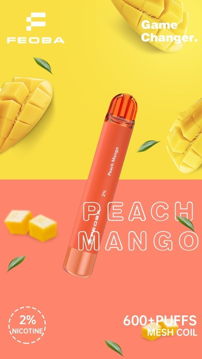 Buy Bulk Feoba 600 Disposable Vape Puff Bar Box of 10 - Vape Wholesale Mcr