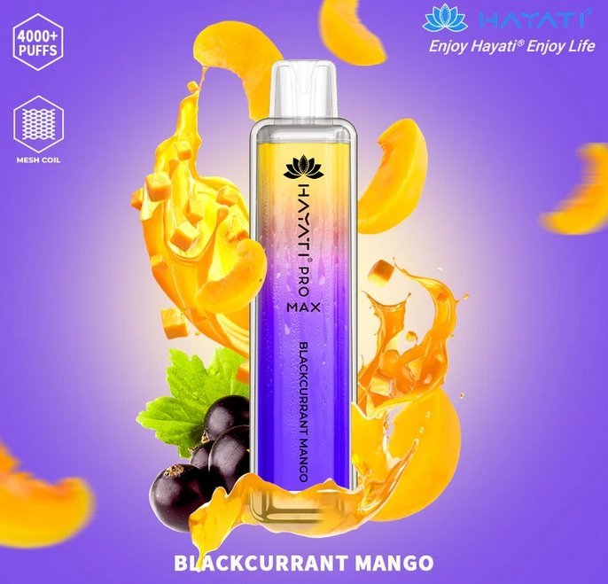 Buy Bulk Hayati Pro Max 4000 Puffs Disposable Vape Puff Bar Box of 10 - Vape Wholesale Mcr