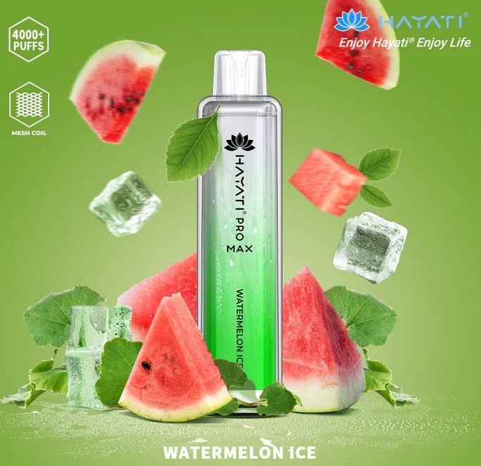 Buy Bulk Hayati Pro Max 4000 Puffs Disposable Vape Puff Bar Box of 10 - Vape Wholesale Mcr