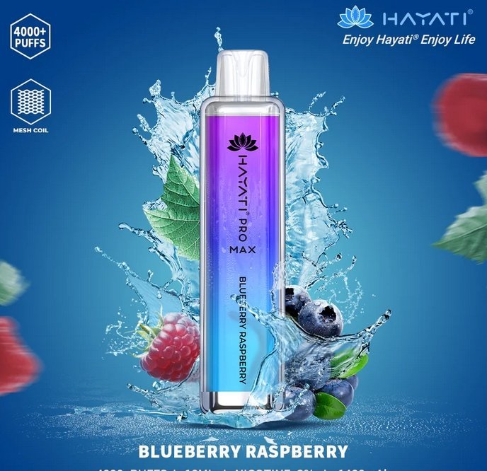 Buy Bulk Hayati Pro Max 4000 Puffs Disposable Vape Puff Bar Box of 10 - Vape Wholesale Mcr
